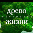 Древо жизни - Выксунский рабочий