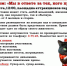 Выставка кошек под девизом: «Мы в ответе за тех, кого приручили!» - Wyksa.Ru