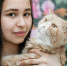 "Федерация кошек" - Wyksa.Ru