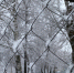 ​Нижегородцам пообещали снежный декабрь - VyksaVKurse.Ru