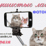 Фотоконкурс «Пушистые лапки» - Выкса.РФ