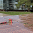 ​Выкса помнит, Выкса скорбит - VyksaVKurse.Ru