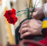 Как Выкса встретит День Победы - Выкса.РФ