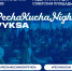 PechaKucha Night Vyksa: конференция-вечеринка под открытым небом - Wyksa.Ru