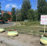 Вместо мусора — цветы - Выкса.РФ