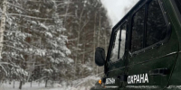 Нижегородская область: выявлены пять случаев незаконной вырубки леса с начала года - Wyksa.Ru