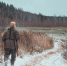 Сезон зимней охоты завершился в Нижегородской области - Выкса.РФ