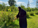 Выксунская епархия приняла членов Коллегии Синодального отдела по монастырям и монашеству