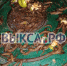 Кто подкармливает слизней? - Выкса.РФ