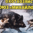 В Выксе прошли первые Межрегиональные испытания гончих по зайцу-беляку - Выкса.РФ