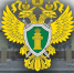 Прокуратура Нижегородской области взяла на контроль установление обстоятельств ДТП в Выксе, в котором погиб ребенок - Выкса.РФ